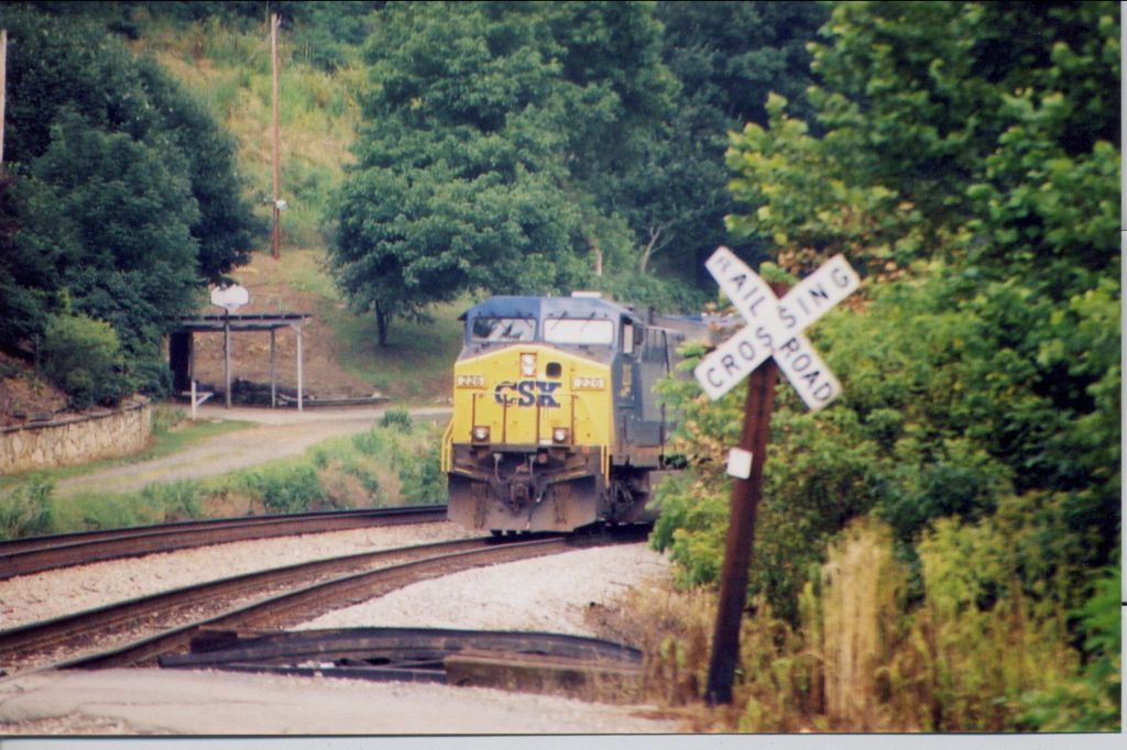 Boo, I peek at you!!!